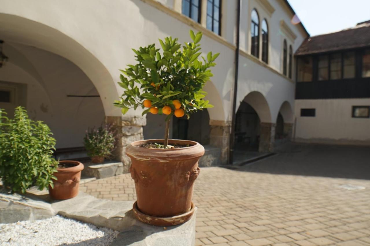 Sobe Prostija Apartment Ptuj Luaran gambar